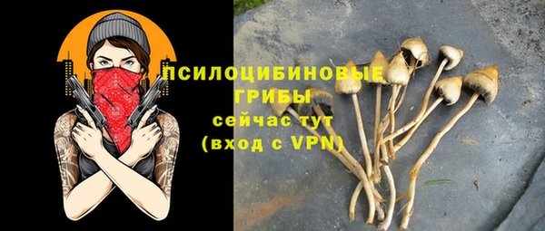 дурь Армянск