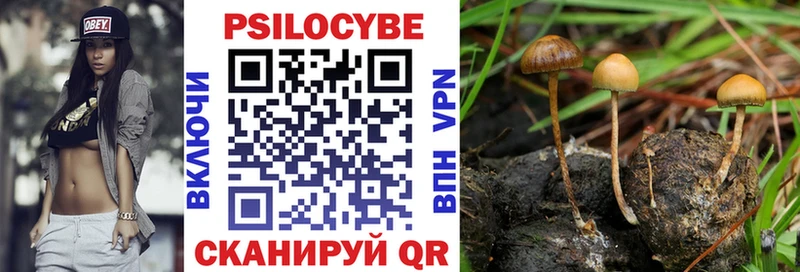 цена   Новый Оскол  Псилоцибиновые грибы мухоморы 