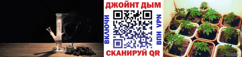 цены наркотик  Новый Оскол  Шишки марихуана семена 